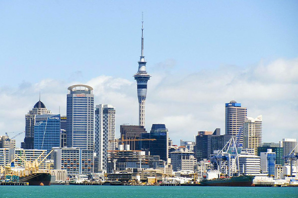 sightseeing_in_newzealand1
